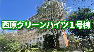 西原グリーンハイツ１号棟801号室【不動産リポート】