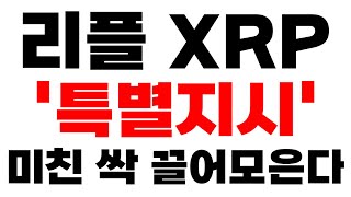 [리플 XRP] 긴급속보 '특별 지시' 미친 싹 끌어모은다