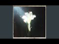 Light That Leads Me