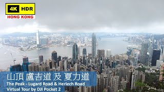 【HK 4K】山頂 盧吉道 及 夏力道 | The Peak - Lugard Road & Herlech Road | DJI Pocket 2 | 2022.06.07
