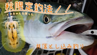 初心者でも大物が簡単に狙える釣法【秋限定】　＃落とし込み　＃スポーツパル 　＃sportspal 　#海釣り　おサカナのキモチを考える会　2馬力アルミカヌー in 愛媛