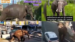 Arikomban Attorocities😱👆🐘/நகருக்குள் புகுந்து அரிக்கொம்பன் அட்டகாசம் arikomban latest news today