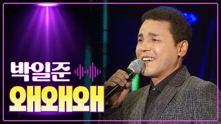 박일준 《왜왜왜》 / MBC 가요베스트 435회 고성 2부 150710