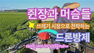 [드론방제] 참 아쉬운 드론방제시장입니다. 무슨생각으로 일을 주고 일을 하러 가는지... 올 한해만 하려 하나요?(신브로Bro)drone pesticide spraying