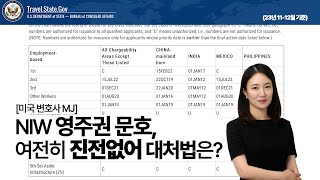 NIW 영주권 문호 여전히 진전없어, 대처법은?