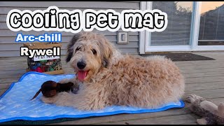 Cooling Mat for Dogs Large Endothermic Color Changing Arc-Chill Rywell