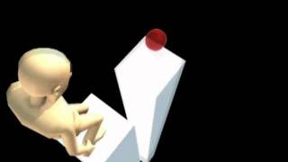 Red Ball 3D
