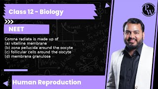 Corona radiata is made up of (a) vitelline membrane (b) zona pellucida around the oocyte (c) foll...