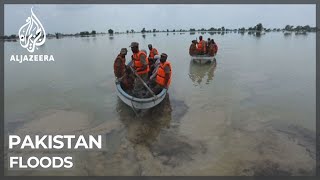 Pakistan floods devastate agriculture and livelihoods