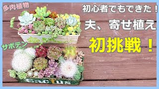 【#77】初心者でもできた！多肉植物・サボテンの寄せ植え。夫のたっつぁんが寄せ植えに初挑戦します。生温かい目で見てくださいｗ