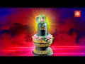 naag panchami special नाग गायत्री मंत्र naag gayatri mantra with lyrics naag panchami mantra