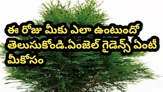 💯❤️ఈరోజు మీకు ఎలా ఉంటుందో తెలుసుకోండి మీ గైడ్స్ మీకు ఏం msg ఇస్తున్నారు