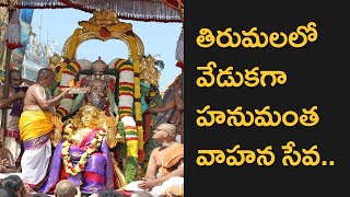 Lord Malayappa Swamy As Venkatadri Rides On Hanumantha Vahanam