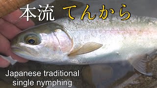 本流テンカラ　Traditional single nymphing of Japan