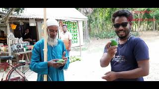 শতবর্ষী আমগাছ         Centennial mango tree