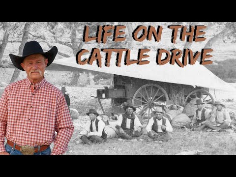 What was life like on a cattle drive?