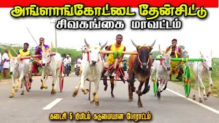 1அங்களக்கோட்டை  30,000 ஆயிரம் தேன்சிட்டு பந்தயம் 19,01,2025