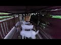 MOMEN 5 KAMBING MASUK KANDANG. TAHAP PERTAMA SELESAI, BERSIAP KANDANG TAHAP KEDUA