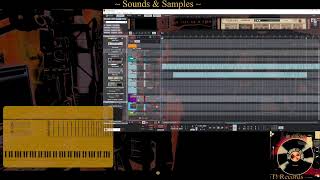 Sounds & Samples (19/11/24)