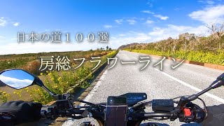 【motovlog】南房総ツーリング with HARLEY～房総フラワーライン（日本の道１００選）～＜MT09-SP＞