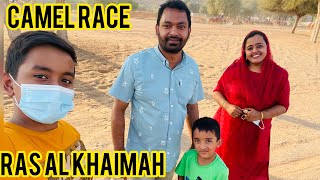 Camel |camel race|rak | uae | ras al khaimah| rakgadies| musthafasappi| vlog 31