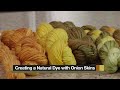 Create a Natural Dye with Onion Skins