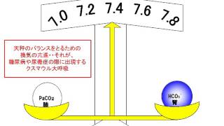 出直し看護塾3分間劇場2-11_代謝性アシドーシス