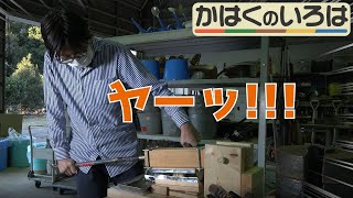 「植物園で育てたサトウキビから砂糖を作って、砂糖入りの手作りチョコを作ってみた。」【かはくのいろは　第６回】