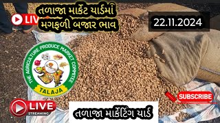 લાઈવ હરાજી મગફળી તળાજા માર્કેટિંગ | મગફળી બજાર ભાવ | 22.11.24 ||#news #farming #apmc #live #food