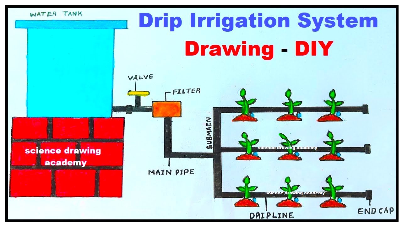 Indoor Drip Irrigation Diagram