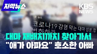 [자막뉴스] 대마 재배지까지 찾아가서 \