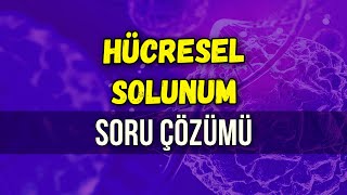 HÜCRESEL SOLUNUM SORU ÇÖZÜMÜ | Seda Hoca Biyoloji 🧬 #ayt2024