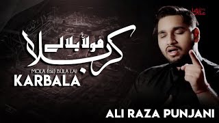 Mola Bula Lein Karbala | Ali Raza Punjani New Noha 2018 | Muharram 1440H | 2019 Nohay