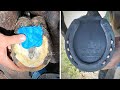 HORSESHOEING for NAVICULAR Disease // 3 Degree Wedge // Banana Shoe