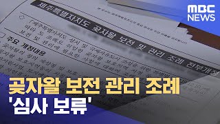 곶자왈 보전 관리 조례 '심사 보류' (2023.06.20/뉴스데스크/제주MBC)