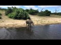 2016  Victoria Falls Chobe Safari