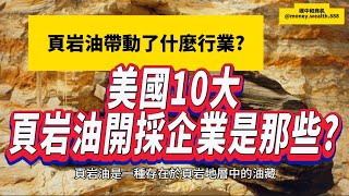 美国石油和天然氣開採業，在過去5年，有那些公司排在頭10名。有上市公司代號方便您參考。