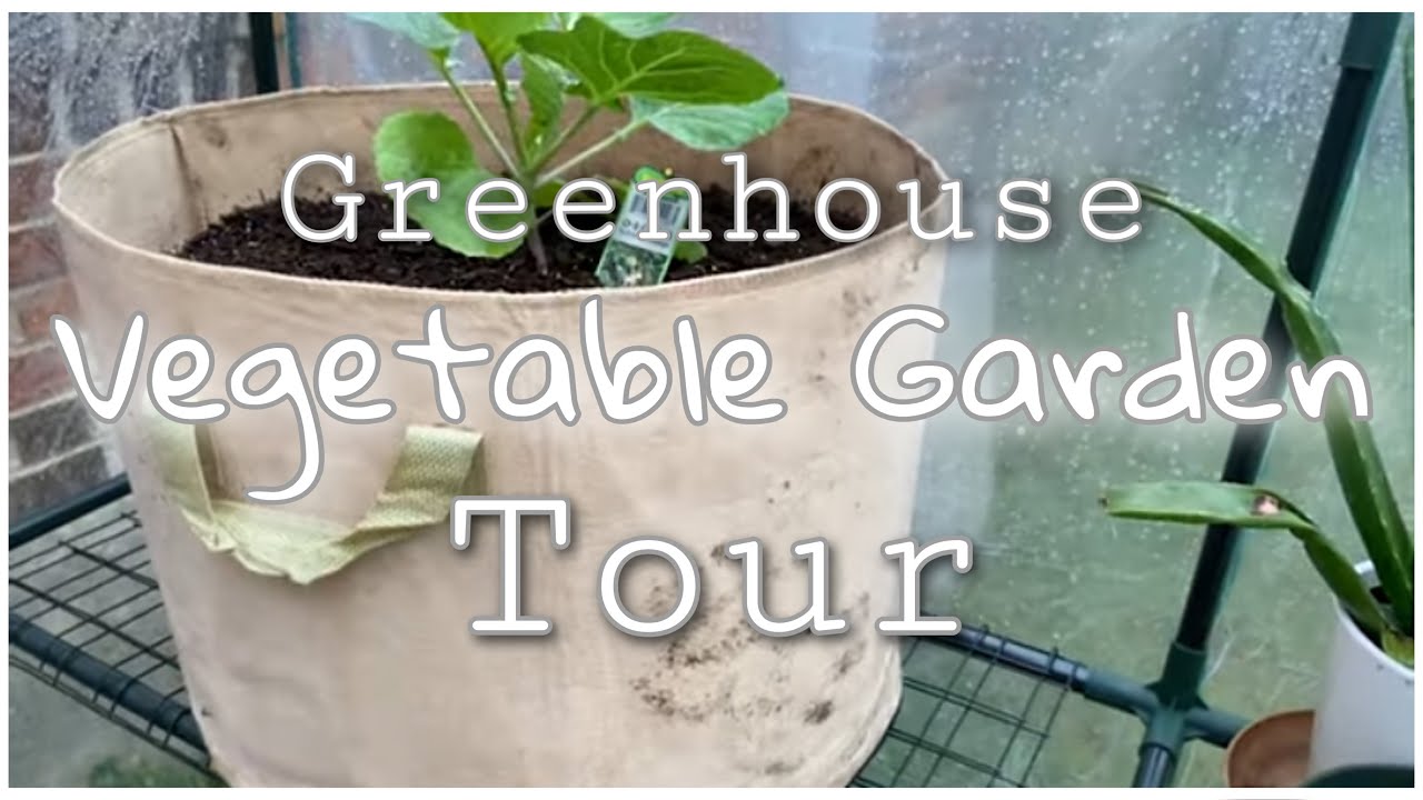 GREENHOUSE VEGETABLE GARDEN TOUR 2020 | TEXAS VEGETABLE GARDEN 👩‍🌾 🥬🍅 ...