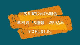 広川町じゃばら組合　草刈り刃5種類　刈り込みテスト