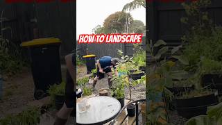 How to landscape in 1 day  #garden #howtomakelawn #howtogrowlawn #landscapingtips #gardentips #diy