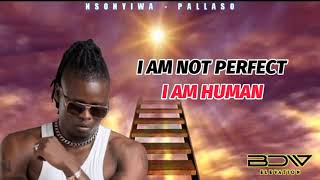 Nsonyiwa - Pallaso (Lyrics Visuals)