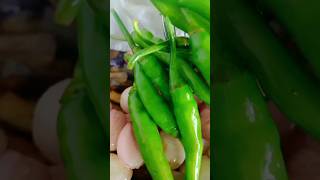 මං මේ මොනවද හදන්නේ 🌶️🍆|Do you know what I am cooking