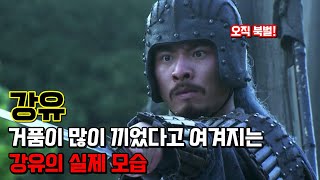 강유. 삼국지연의 마지막 주인공이자 촉한 최후의 명장