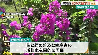 果樹の苗木や造園用の庭木などを安く販売　秋の大植木市に園芸ファンらは熱視線