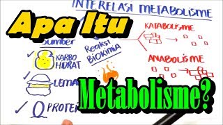 Apa itu Metabolisme ? (Anabolisme dan Katabolisme)