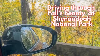 Fall Drive through Shenandoah National Park (2024) 4K