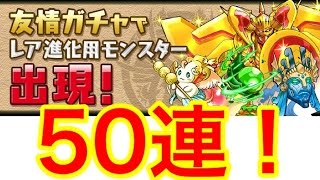 【パズドラ】友情ガチャ50連！1000日記念イベント