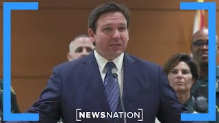 DeSantis pushes anti-immigration bill in Florida Senate | Morning in America