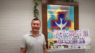 活水潤心靈每日靈修2020年10月8日，常年期第二十七周 星期四 由左旭華神父分享