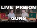 What is a Live Pigeon Gun?